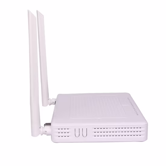 1ge+3fe+CATV+2V+WiFi Dual